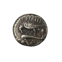 Ancient Greek Istria coin reverse showing raven with ΙΣΤΡΙΗ inscription - antique silver finish 40g