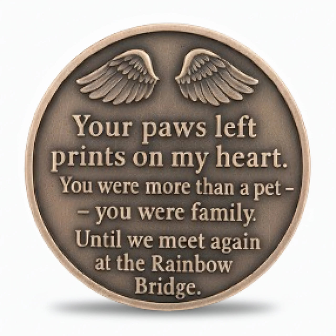 Rainbow Bridge pet memorial coin reverse angel wings your paws left prints on my heart poem antique bronze cat dog loss keepsake collectible token
