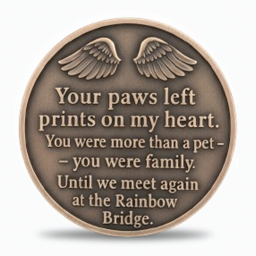 Rainbow Bridge pet memorial coin reverse angel wings your paws left prints on my heart poem antique bronze cat dog loss keepsake collectible token
