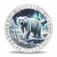 Polar bear under aurora borealis northern lights Arctic night collectible coin wildlife commemorative token
