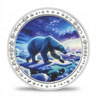 Polar bear under northern lights Arctic night sky collectible coin aurora borealis wildlife commemorative token
