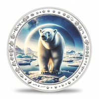 Polar bear standing on ice floe Arctic collectible coin wildlife nature commemorative token
