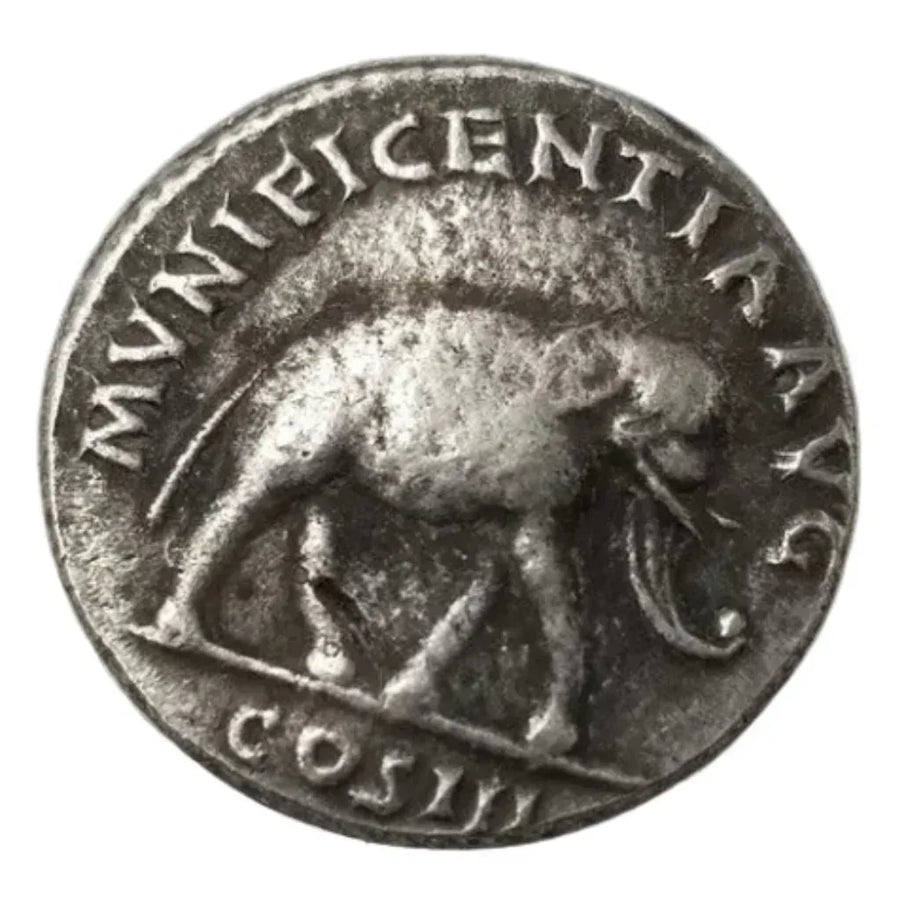 Roman Marcus Aurelius coin reverse side walking elephant imperial munificence Latin inscription antique silver collectible coin
