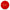 Yes No decision coin red NO side novelty collectible token